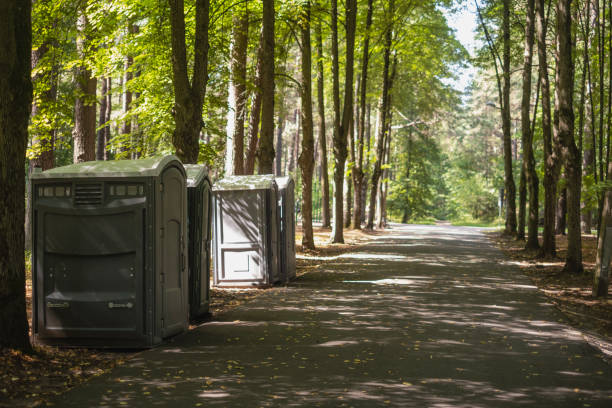 Best Affordable portable toilet rental  in Mlstadt, IL