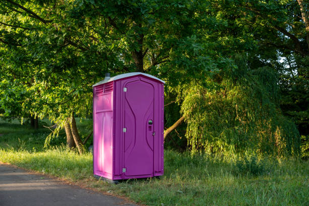 Best Portable restroom solutions  in Mlstadt, IL